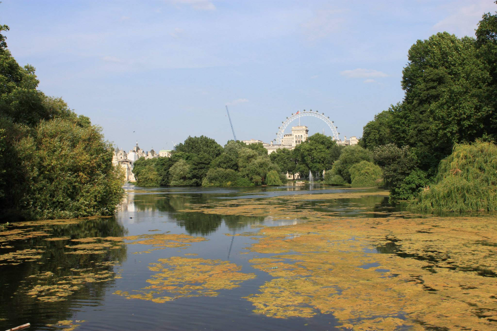 1085108_10201641307177767_227332916_o