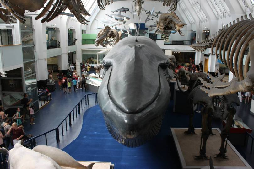 1150726_10201852202330014_89265157_o