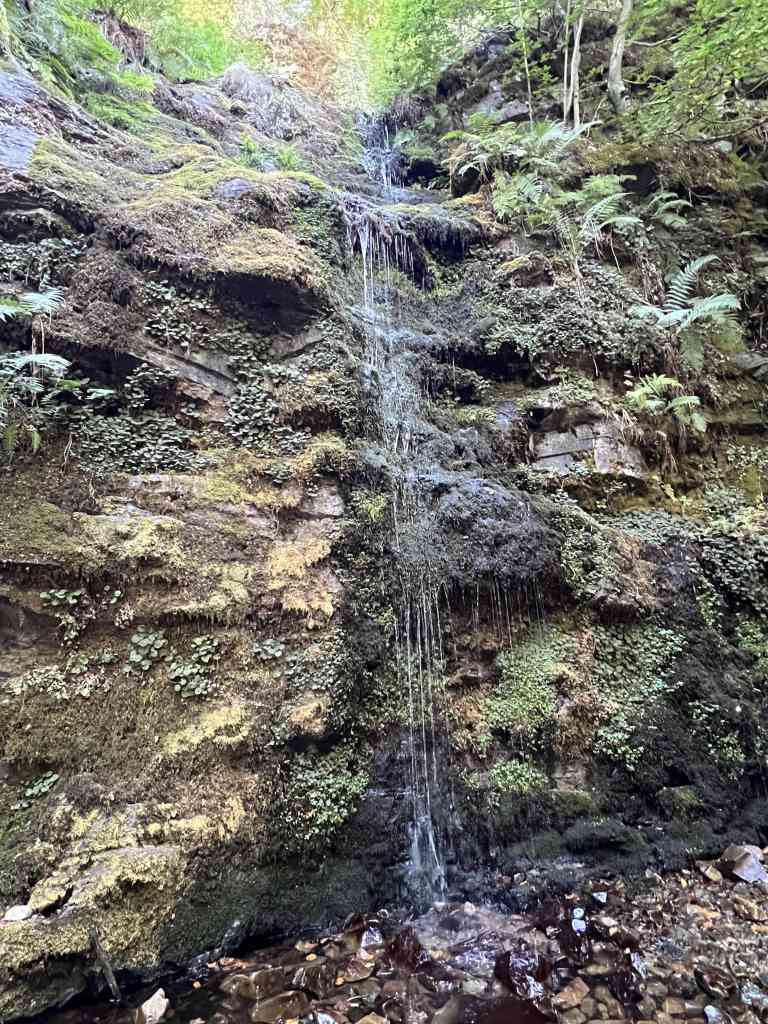 cascada altuzarra burgos