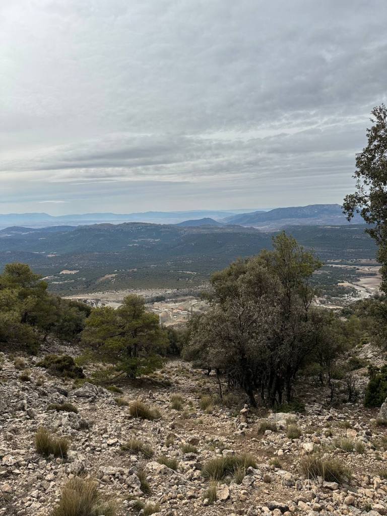 ruta al techo de Albacete
